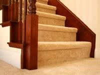 Stair carpet showing tailored steps.